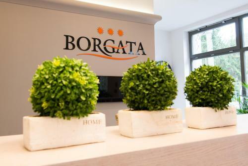 Hostal Borgata