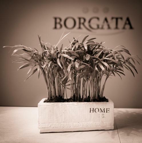 Hostal Borgata