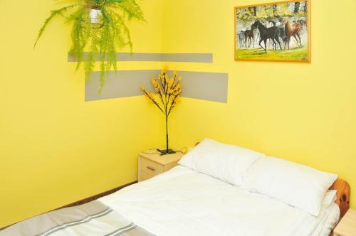 Apartament Pod ?anem