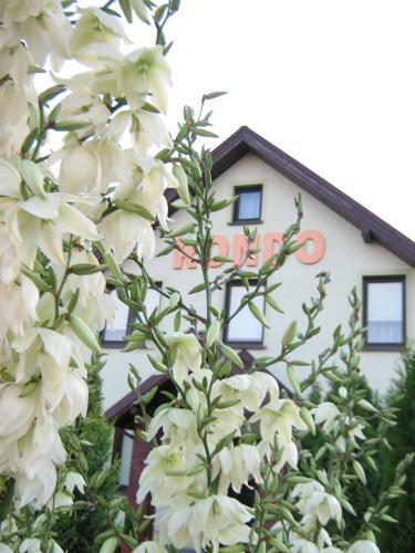 Hostal Pensjonat Rondo