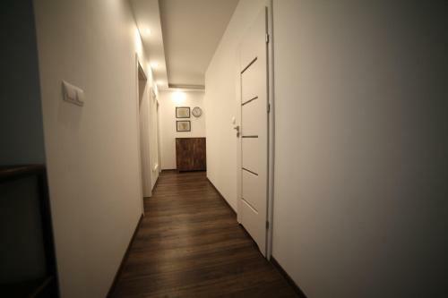 Apartament No.5
