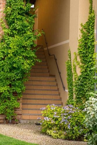 Villa Mare Apartamenty