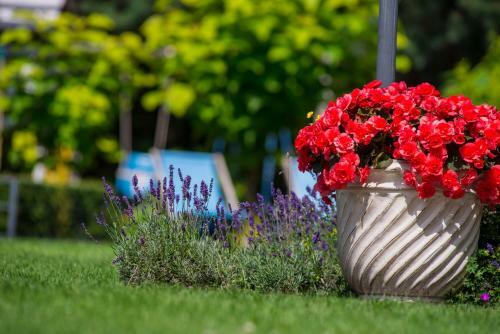Villa Mare Apartamenty