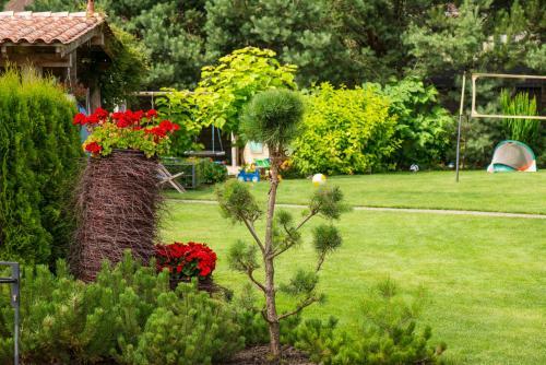 Villa Mare Apartamenty