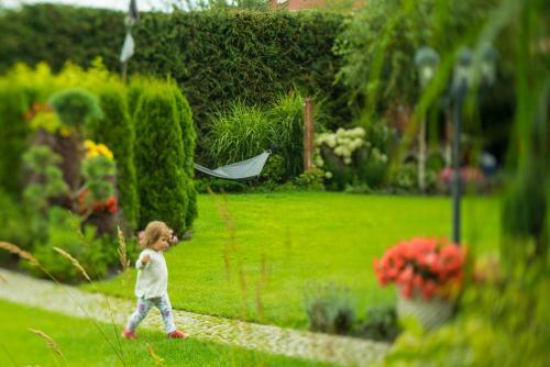 Villa Mare Apartamenty