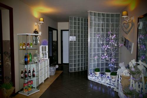 Hostal Topolowa