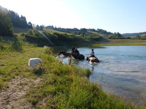 Agroturismo Ropuszy Dw�r