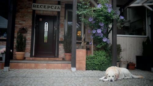 Hostal Villa Pod Orzechem
