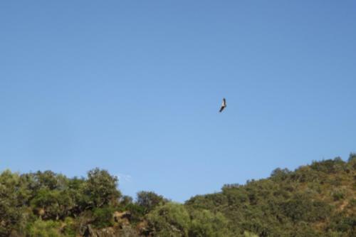 Agroturismo Casa Dos Xar�s