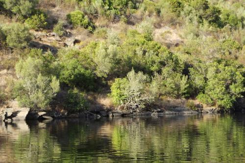 Agroturismo Casa Dos Xar�s