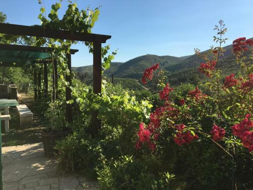 Agroturismo Retiro Da Arminda