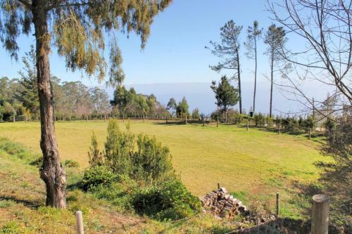 Casa Paddock By Ourmadeira