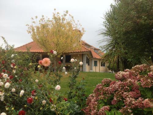 Bed & Breakfast Casa Vale de Azibo