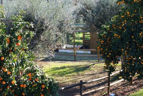 Agroturismo Casa de Santo Ant�o
