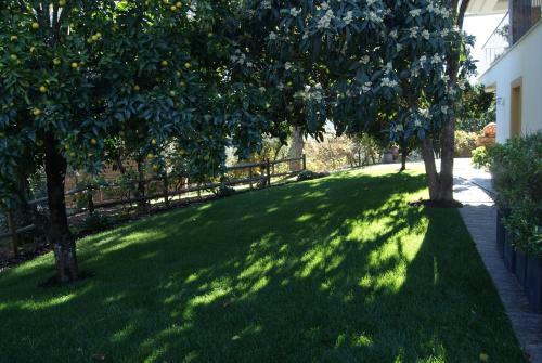 Agroturismo Casa de Santo Ant�o