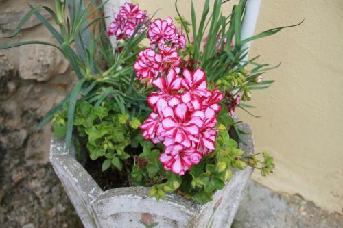 Pro Touristic Romantic Nature Villa