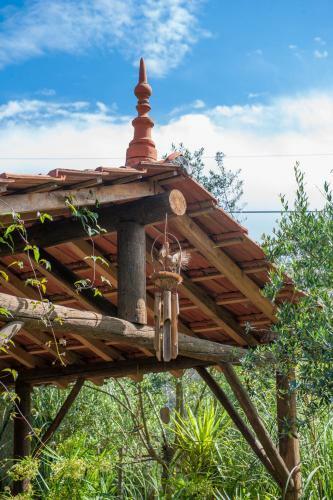 Agroturismo Moinhos Do Pis�o