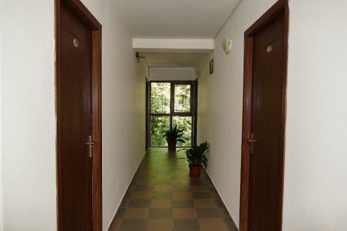 Hostal Pensiunea Pinul Negru