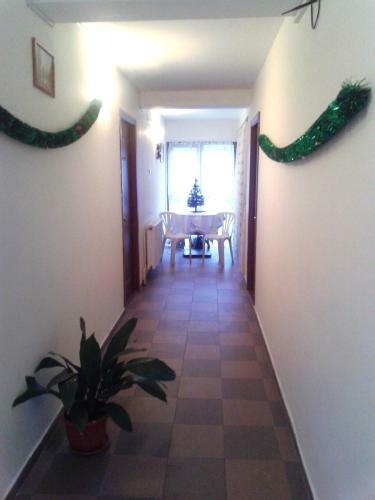 Hostal Pensiunea Pinul Negru