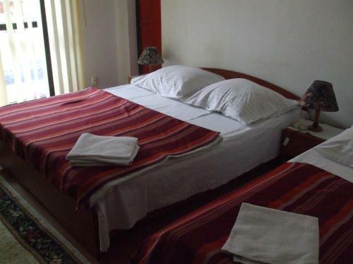 Hostal Pensiunea Soimul