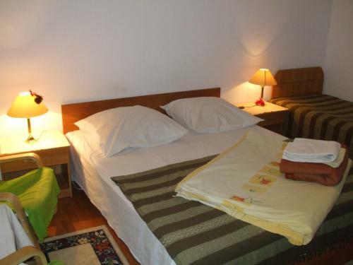 Hostal Pensiunea Soimul