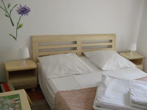 Hostal Pensiunea Soimul