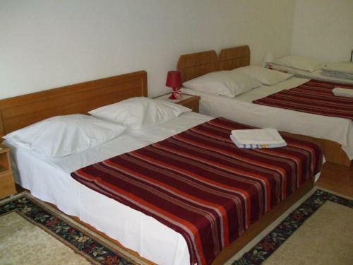 Hostal Pensiunea Soimul