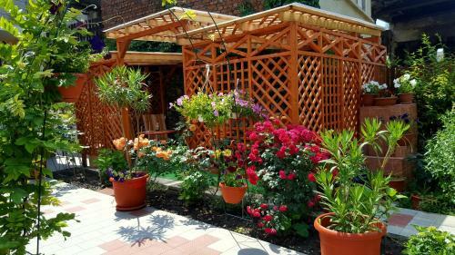 Hostal Pension Eden
