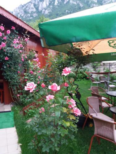 Hostal Pension Eden