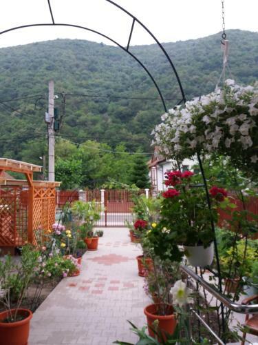 Hostal Pension Eden