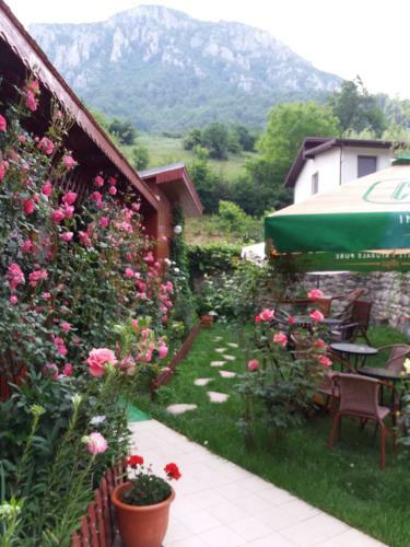 Hostal Pension Eden