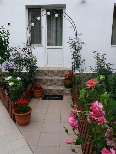 Hostal Pension Eden