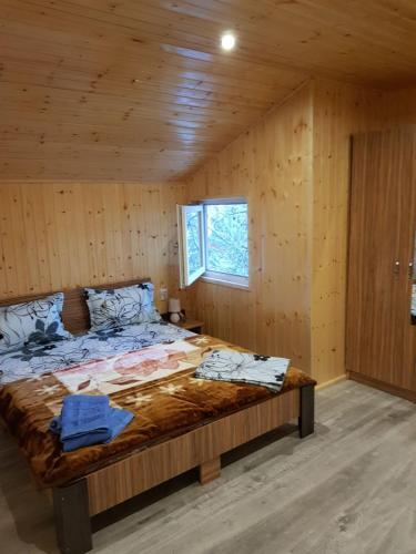 Thermae D'olimpia- Adults Only 14+
