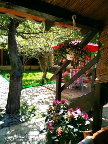 Thermae D'olimpia- Adults Only 14+
