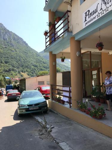 Hostal Pinul Negru