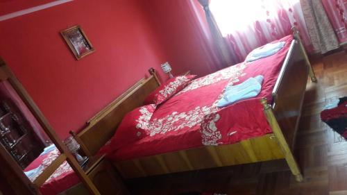 Hostal Pensiunea Angelica