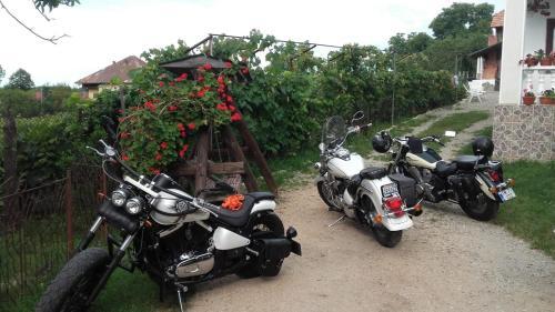 Hostal Pensiunea Angelica