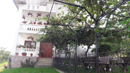 Hostal Pensiunea Angelica