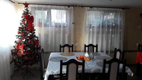 Hostal Pensiunea Angelica