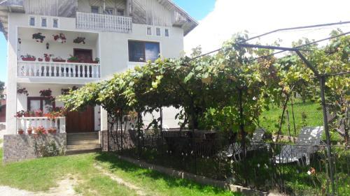 Hostal Pensiunea Angelica