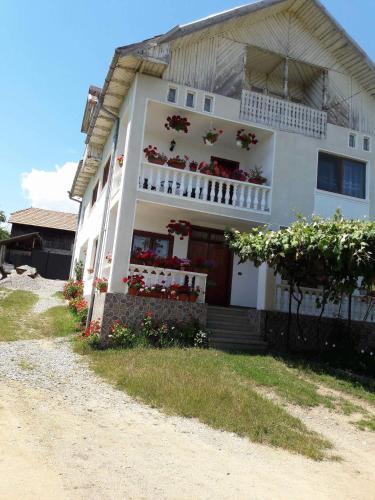 Hostal Pensiunea Angelica