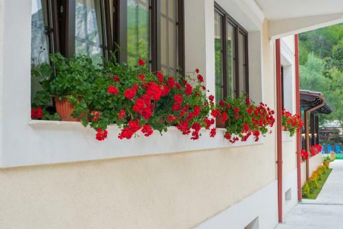 Hostal Pension Noblesse