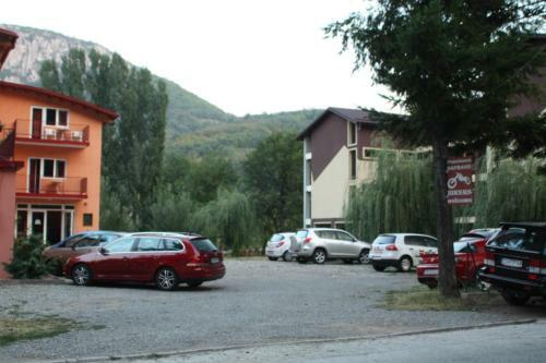 Hostal Pensiune Safrane