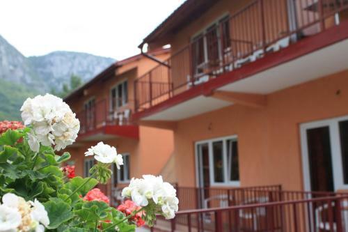 Hostal Pensiune Safrane