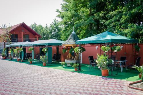 Hostal Pensiunea Viitorul