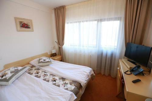 Hostal Pensiunea Diana