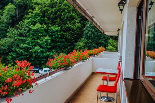 Hostal Pensiunea Diana