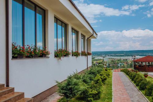 Hostal Pensiunea Diana