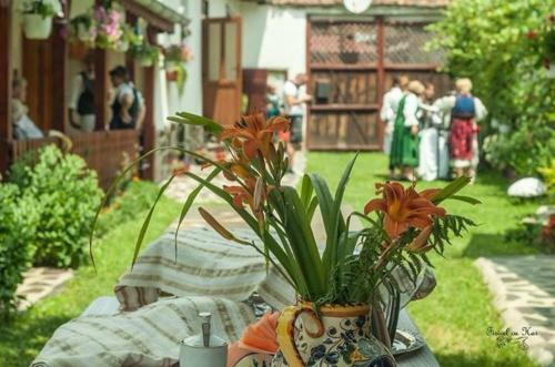Agroturismo Andrada's House Soars