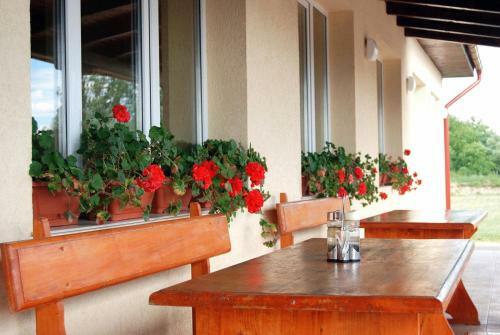 Hostal Pensiunea Axon